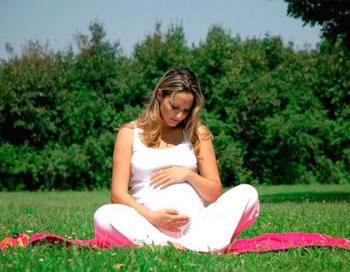 Боровая матка для зачатия: противопоказания и отзывы